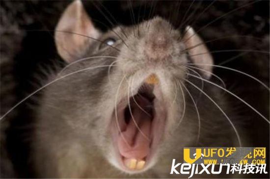 故宫灵异事件！那些无法解释的诡异现象