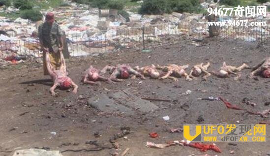 西藏起尸，杀人嗜血的恐怖尸体