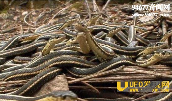 史上最牛钉子户，北顶娘娘庙事件(突发妖风吓尿官府)