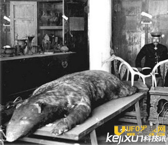 故宫灵异事件太恐怖!八大事件告诉你千万不要去故宫