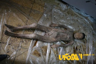 震惊国民：明代古墓女尸光鲜如活人之谜