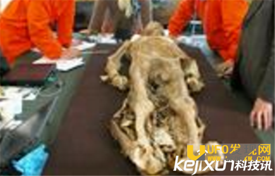 千年女尸复活 全球三大最神秘千年女尸吓破人胆