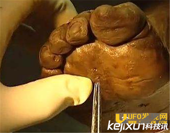 千年女尸复活 全球三大最神秘千年女尸吓破人胆